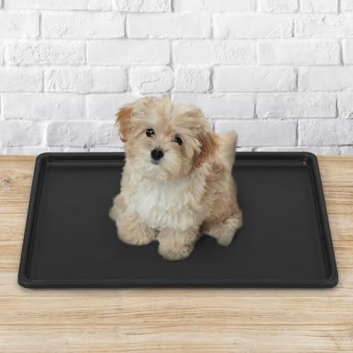 CAPHAUS 22.7" Replacement Tray for 24” Dog Crate, Durable, Multi-Purpose Plastic Bottom Pan for Pet Kennels, Easy to Clean & Install - color: Tray Only, size: 22.7"L x 16.4"W x 1.0"H