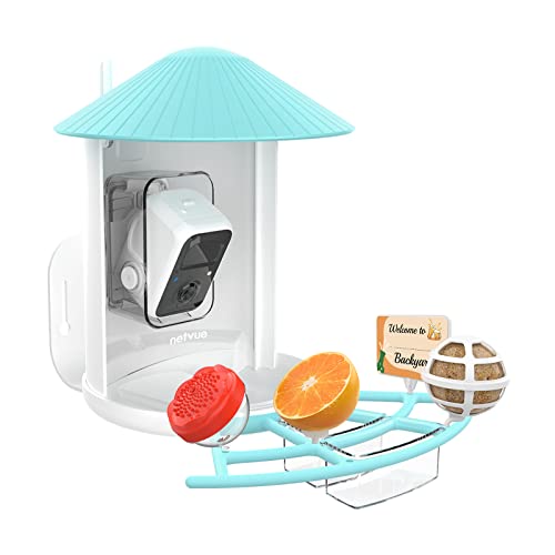 NETVUE by Birdfy Pro Perch - Wider Extension Perch to DIY Add-ons Including Suet Ball, Mini Hummingbird Feeder, Fruit Holder, Jelly Feeder and Welcome Card, Ideal for Bird Lover (Blue) - color: Blue