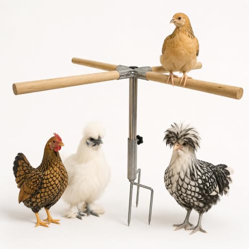 Chicken Perch Toys for Coop, Perches Adjust Height 6-17" for Young Chickens | Portable Wooden Roosting Bar for Bantams, Silkies &Small Backyard Flock, Height Adjustable Outdoor Chicken Playground Stand - size: H=23.6inch