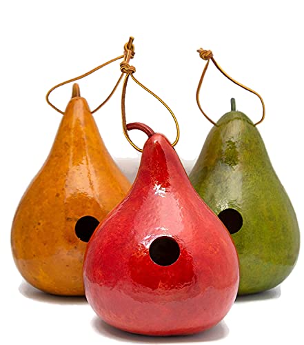 Natural Gourd Birdhouses Set of 3 – Hanging Bird Houses for Wrens & Small Birds, 1.5 Inch Entrance, Outdoor Nesting Gourds, Weather-Sealed