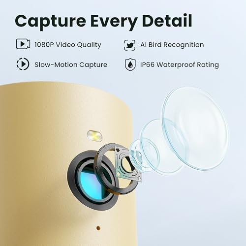 Smart Bird Feeder with Camera for Rookie, Camera Bird Feeder Dual Night Vision, AI Recognition IP66 Waterproof for BirdLovers, 1.3L Capacity - style: AI 7 Day Trial