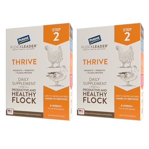Thrive, Daily Probiotic & Prebiotic Water Supplement for Chickens 8+ Weeks Old, 8 oz (Pack of 2) - color: FlockLeader Thrive, size: 8 Ounce (Pack of 2)