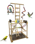 Bird Play Stand, Large Parakeet Playground, Natural Wood Parrot Perch Stand, Birds Play Gym Cockatoos Cage Accessories with Feeder Cups Swings for Cockatiel Budgie Conure