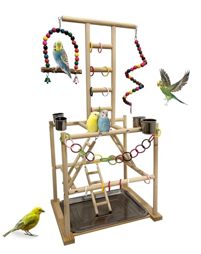 Bird Play Stand, Large Parakeet Playground, Natural Wood Parrot Perch Stand, Birds Play Gym Cockatoos Cage Accessories with Feeder Cups Swings for Cockatiel Budgie Conure