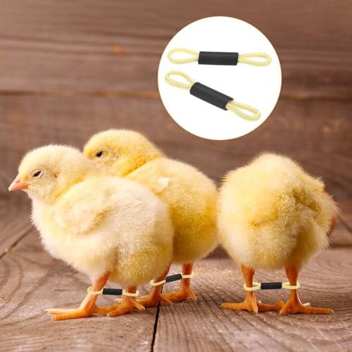 M METERXITY 50-Pack Adjustable Chick Leg Bands, 1.38" x 0.2" Polyester Chicken Leg Brace for Chicks/Ducks/Birds [Light Yellow] Poultry Leg Bands - color: LightYellow