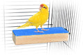 Spoiled Pet® Bird Cage Perch Stand 2-Pack - Beak and Foot Grinding Platform - Parakeets, Cockatiels, Canaries, Finches, Conures, Lories, and Budgies - Hamsters and Gerbils (Wood Perch) - size: Wood Perch