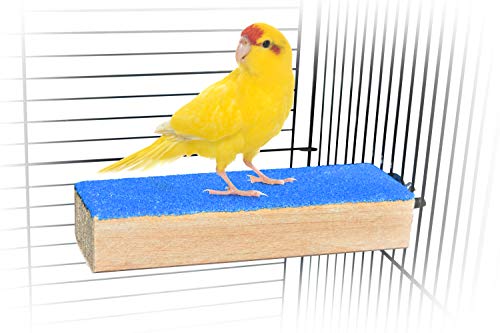 Spoiled Pet® Bird Cage Perch Stand 2-Pack - Beak and Foot Grinding Platform - Parakeets, Cockatiels, Canaries, Finches, Conures, Lories, and Budgies - Hamsters and Gerbils (Wood Perch) - size: Wood Perch