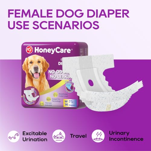 HONEY CARE All-Absorb Disposable Female Dog Diapers M Size, Improved Bigger Size, 36 Count, Super Absorbent, Breathable, Wetness Indicator (Pack of 1, 36 Count Total) - size: Medium (Pack of 1)