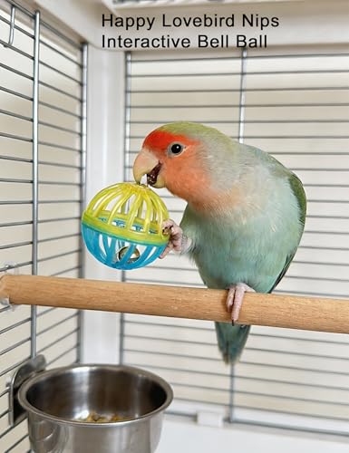 12 Pack Bird Ball Toys Rings Sound Rattles for Parakeets | Smooth Edge Cage Play Toys for Assorted Small Medium Parrots