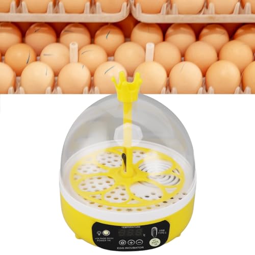 Haofy Mini Egg Incubator Automatic Temperature Humidity Control Chickens Ducks Pigeons Candler (Auto Turning)