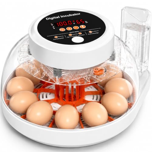 Upgraded Egg Incubator for Hatching Eggs, 12 Egg Capacity with Automatic Egg Turner, Temperature & Humidity Control, LED Egg Candler, Chick Incubator for Chicken, Duck & Quail Eggs - size: 12 EGGS