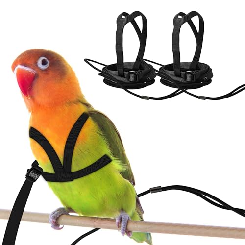 2 pcs Pet Parrot Bird Harness and Leash, Adjustable Training Design Anti-Bite, Outdoor Flying Training Rope Kit for Bird Parrots Fits Birds Chest Between46-76cm /18.11-29.92inch - XL (Black) - color: black, size: XL