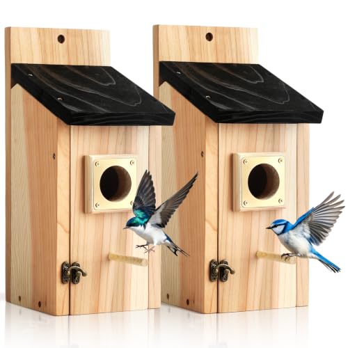 2 Pack Bird Houses for Outside - Cedar Bird House with Metal Predator Guard & Perch, Outdoor Bluebird Nesting Box for Wren Finch Swallow Chickadee, Weather Resistant (Brass) - color: brass