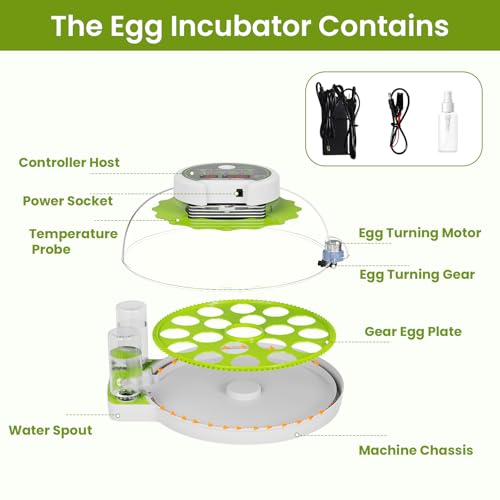 18-Egg Incubator with Automatic Egg Turning & Humidity Control, HD Panoramic View, Built-in Candler for Hatching Chicken, Duck, Quail Eggs Farms, Science Labs, Classroom, Home Use