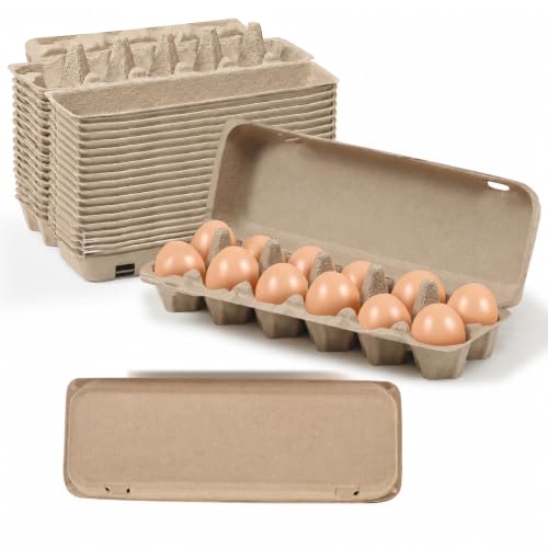 MT Products Natural Flat Top Egg Cartons 12 Count Pulp 200 Pack Made in USA