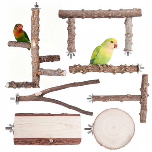 Kintor Bird Perch Set,7pcs Natural Wood Stand for Parakeet Cockatiel Conure | Natural Prickly Ash Wood,Bird Platform Branch Fork Stand,Bird perch Cage Accessories for small medium Parrot Lovebird Budgie