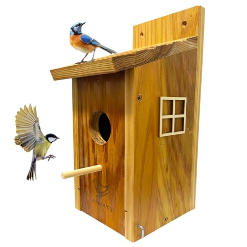 Large Bird House, Bird Houses for Outside Clearance, Cedar Birdhouses for Outdoors, Wood Birdhouse with Secure Latch, Bluebird Houses for Wren Swallow Finch Hummingbird