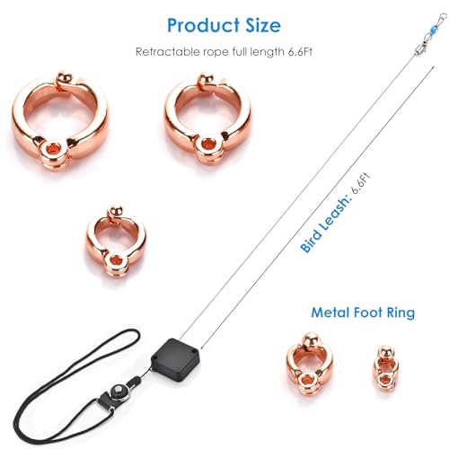 6.6Ft Bird Leash, with 13 Different Size Foot Ring Retractable Anti-Bite Parrot Harness, Bird Flight Training Rope for Budgies,Cockatiels,Psittacula Longicauda,Mini Macaws（Rose Gold） - color: Rose Gold