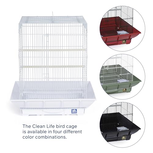 Prevue Hendryx SP850W/W Clean Life Cockatiel Cage, White,1/2" - color: White