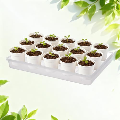 MUZHI 3 Pack Plastic Bonsai Humidity Trays, Rectangle Plant Growing Saucer Water Catcher Drip Tray, Seed Starter Drainage Tray Transparent (11.5x8.3 Inch)