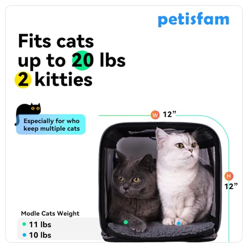 Soft Pet Carrier for Large and Medium Cats, 2 Kitties, Small Dogs. Easy to Get Cat in, Great for Cats that Don't Like Carriers (Blue) - color: Blue