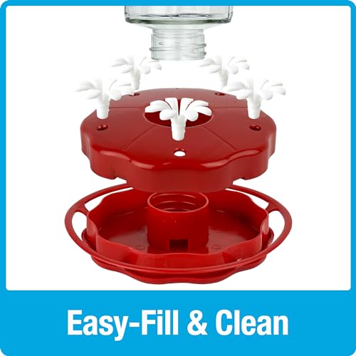 Nature's Way Hanging Glass Hummingbird Feeder for Outdoor Décor, 20 Ounce Capacity Nectar Feeder, Ant Moat, 5 Easy to Clean Flexible Ports, Red - style: 20 Ounce Capacity