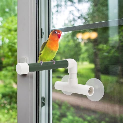 Hypeety Portable Suction Cup Bird Window and Shower Perch Toy Parrot Stand | 2 strong suction cups, parrot bath perch, easy to install, fits windows/shower tile, for budgies/parakeets/lovebirds, green