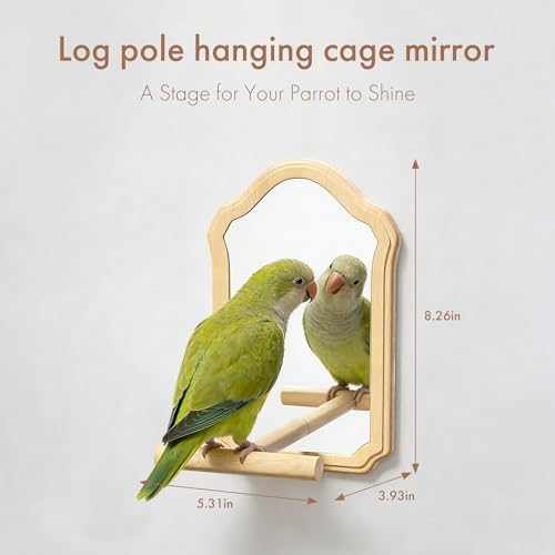 Parrot Mirror Toy with Natural Wood Perch | Fun Self-Entertainment for Birds | Prevent Boredom, Feather Plucking & Loud Calls | Acrylic Mirror and Wood Perch for Parakeets, Cockatiels, Lovebirds