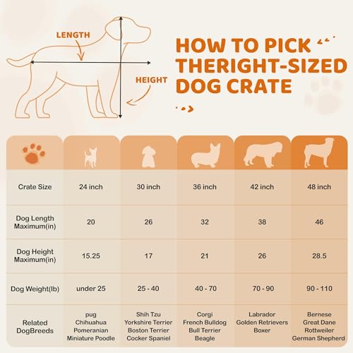 Yaheetech 36in Double Door Metal Dog Crate w/Divider for Puppy Indoor Use | Heavy-duty Sturdy Metal Frame, Easy Assemble, Fold Up for Travel, Removable Tray, Ideal for Puppies, Small to Medium Dogs - size: 36" L