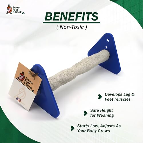 Sweet Feet and Beak Baby Weaning Stand, Large Training Bird Perch | 3 Adjustable Heights, Training & Play Stand, Easy to Clean, Handmade in USA, For Baby Finches, Canaries & Small Budgies - size: Large