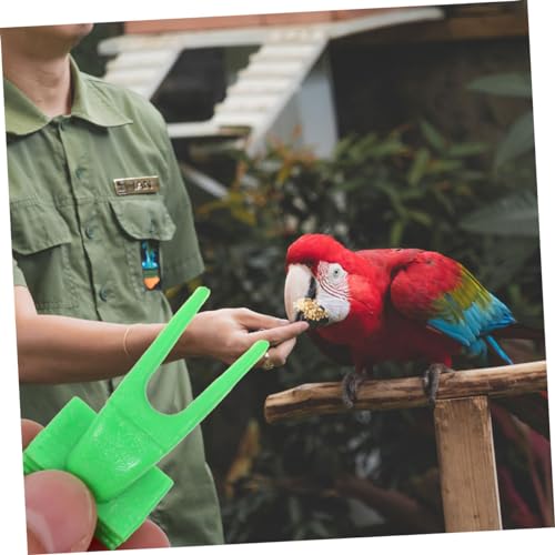 50pcs Parrot Fruit Holders Compact Vegetable Fixing Forks for Birds Convenient Foraging for Parrots Easy Installation and Practical Use Bird Cages