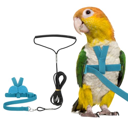 Bird Harness Leash, Adjustable Pet Parrot Bird Harness and Leash Lightweight Anti-Bite Flight Training Rope with Cute Wing, (Blue, L), Intended for Parrots/Pigeons/Budgies - color: Blue, size: Large