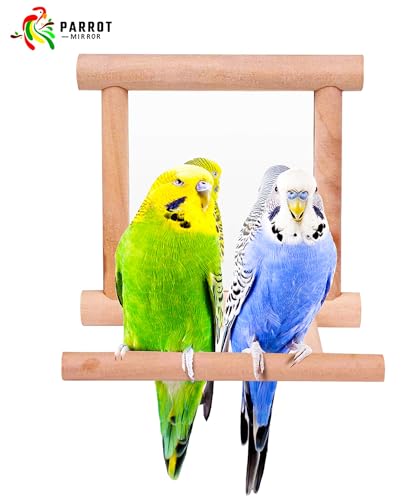 Blessed Family 2 Piece Bird Parakeet Mirror for Cage,Parrot Perch Stand,Wooden Hummingbird Swing Toy,Parakeet Accessories for Cockatiels Conure Finch Lovebird Canary African Grey Macaw