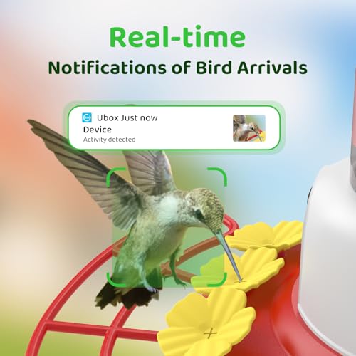 SEHMUA Smart Hummingbird Feeder with Camera, Solar Powered Bird Cam with 1 Year Trial AI Identify, Ant Moat & Bee Proof, Outdoor Hanging, Gift for Bird Watching - color: Red