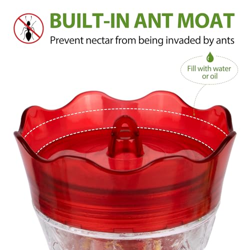 Glass Hummingbird Feeders for Outdoors, Built-in Ant Moat, Red, 15oz | 4 Bee Guard Feeding Ports with Perches, Leak Proof, Stars Decor, Easy Refill & Clean, Yard Decor, Gifts for Women Men Mom Dad - color: Red