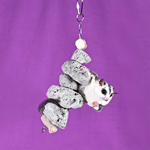 Exotic Nutrition Pumice Chew Dangle - Natural Healthy Hanging Cage Accessory Toy - for Squirrels, Degus, Chinchillas, Prairie Dogs, Birds, Rats, Hamsters, Guinea Pigs & Other Small Pets - color: Light Gray
