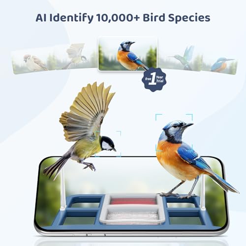 LIWAN Bird Feeder with Camera Solar Powered, 1 Year Trial AI Identify, 2K Live Video, Smart Bird Feeder Camera Wireless Outdoors, 2.4GHZ WiFi, Instant Arrival Alerts, Ideal Gift for BirdLovers