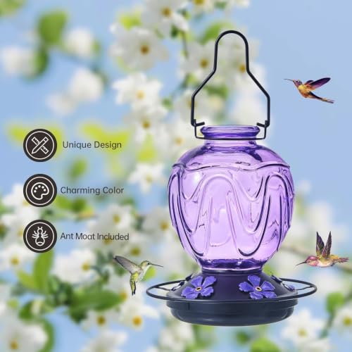 2 Pack Glass Hummingbird Feeder for Outdoors Hanging, 24Ozs Humming Bird Nectar Feeder w/Perch, 5 Flower Feeding Ports, Leak Proof Base and Hook for Outside Garden Backyard Decor, Purple - color: Purple-2
