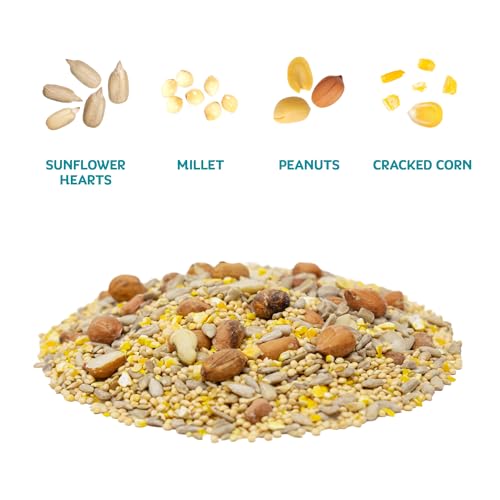 Audubon Park Waste Free Wild Bird Seed, 12 lb | No Mess Blend with Sunflower Hearts & Peanut Pieces – Bird Food for Outside Feeders - size: 12 Pound (Pack of 1)