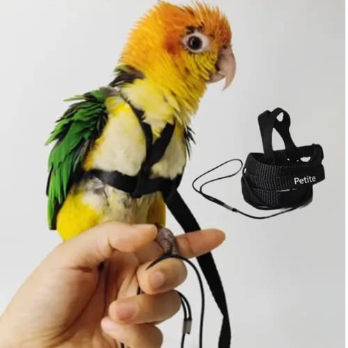 Adjustable Bird Harness with 78.7 Inch Leash, Outdoor Flying Training Rope Kit for Bird Parrots, Parrot Flying Rope Straps Outdoor Training Traction Rope for Small Medium Large Size Birds (Petite) - size: Petite