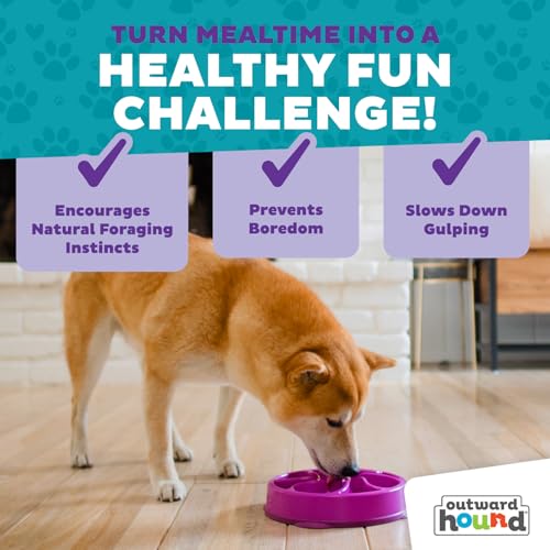 Outward Hound Fun Feeder Slo Bowl – Large 4‑Cup Capacity,Slow Feeding,Medium to Large Dogs,Non‑Slip,Purple,Flower Pattern,(Pack of 6) - color: Purple, size: Large (Pack of 6)