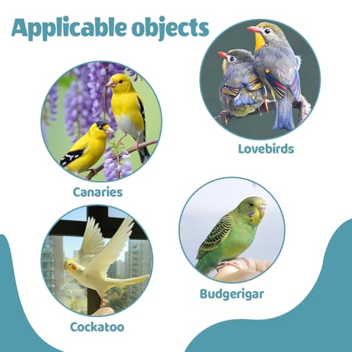 MiOYOOW Parrot Shredding Toy, Bird Foraging Roll Paper Holder with Hanging Chain for Parakeet Cockatiel Conure Lovebird - color: Green