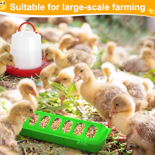 Funnymoom 12 Pack Chicken Feeder and Waterer Set Bird Small Poultry Feeder Flip Top Bird Small Poultry Feeding for Pigeon Chick Drinker Duckling Quail Feeding Dispenser(Green,8 Holes) - color: Green, style: 8 Holes