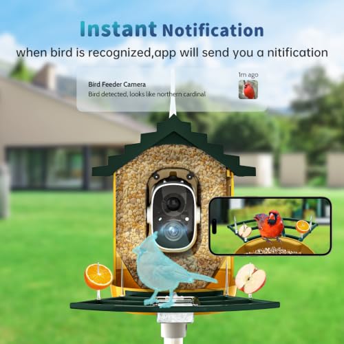 Smart Bird Feeder with Camera Solar Powered & AI Bi rd Identification, 2.4Ghz WiFi Bird feeders for Outdoors, 2K Live Video, Instant Arrival Alerts-Green-Yellow - color: Green-Yellow