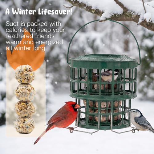 KOL All-Metal Suet Bird Feeder, Heavy-Duty Double-Layer Suet Ball Feeder for Wild Birds, 360° Feeding with Drainage Tray, Ideal for Suet Balls and Seed Cakes (Jasper) - color: Jasper