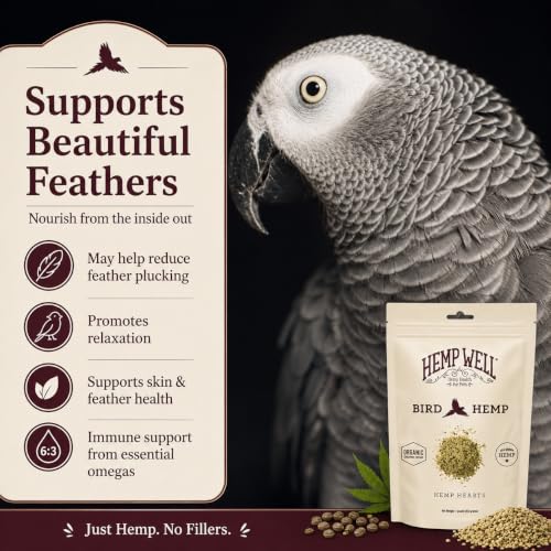 Hemp Well Organic Hemp Hearts –Reduces Feather Plucking, Promotes Relaxation, Immune Support, Organically Sourced, USA Grown, GMO Free – 1 Pound Bag - size: 1 Pound (Pack of 1)