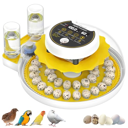 40 Quail Egg Incubator with Automatic Egg Turning Humidity Control Eggs | Large Capacity Quail Brooder Poultry Incubators, Also for Parrot, Dove, Canary and Other Birds - color: Yellow