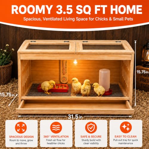 Wooden Brooder Box for Chicks, Ducklings & Quail Chick House | Solid NZ Pine Brooder Box, 31.5×15.75×15.75 in, Thermometer & Chick Perch, Clear Acrylic, Pull Drawer, Dual Vents for Poultry