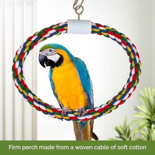 JW Pet Swing N' Perch, Large - size: Large