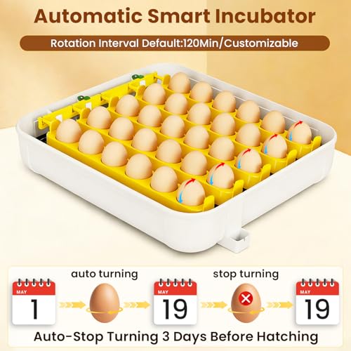 Incubators for Hatching Eggs, 30 Chicken Eggs Incubator with Automatic Egg Turning, Dual Power Supply, Egg Candler, Temperature & Humidity Control with Alert Function, Auto Water Filling
